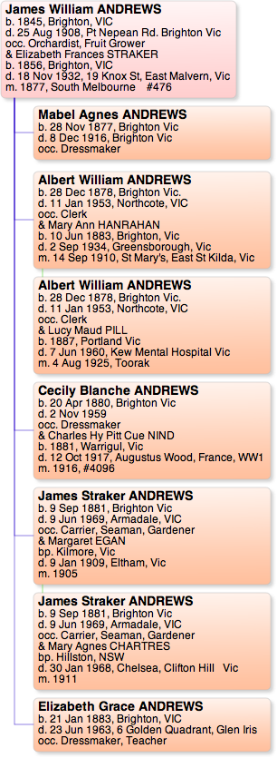 James Andrews