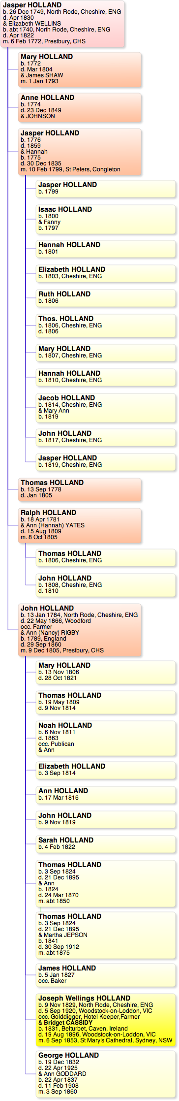 Jasper Holland Pedigree