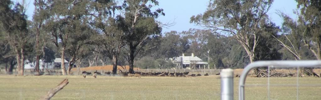 Adjacent Farm