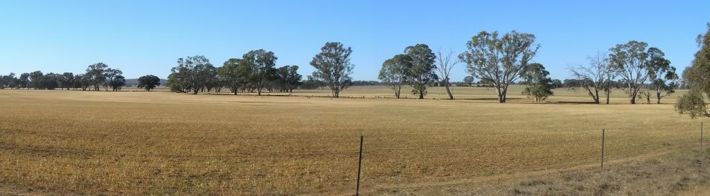 Holland farm site