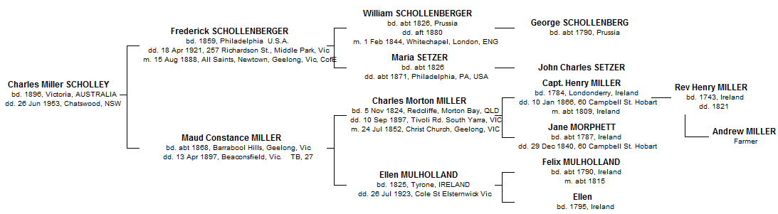 Scholley Pedigree
